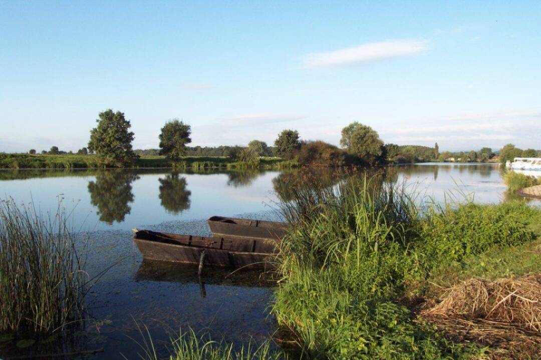 Seille, the gentle river: The Seille is navigable over 39 kilometres from Louhans to La Truch&egrave;re. The navigation is very pleasant and peaceful thanks to its weak current and the beauty of its landscapes. The river is also known for its good fishing conditions.