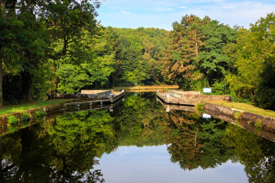 Etang de Gondrexange: this natural area is one of the jewels of the region. Created in the Middle Ages by fish-farming monks, the 700-hectare lake has retained its wild charm and rich wildlife and offers a myriad of water sports activities.