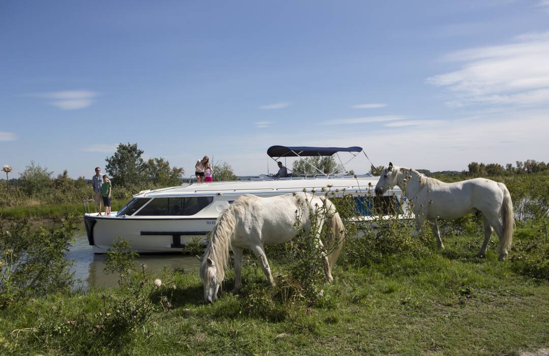 The Etang du Ponant located in La Grande-Motte, on the shores of the Mediterranean Sea, is an artificial lake of 280 hectares. On the programme, observation of coastal and maritime birds, meeting with Camargue horses and relaxing by the water.