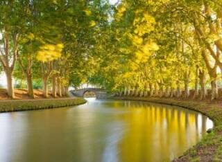 Canal du Midi / Camargue